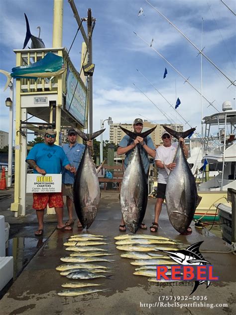 Reviews Virginia Beach Fishing Charters Rebel Sportfishing
