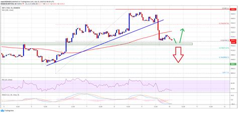 According to tradingbeasts, cardano could reach $1.29 at the end of 2021, and would be trading at $1.6 by the end of 2024. Bitcoin Just Saw Key Technical Correction But This Level ...