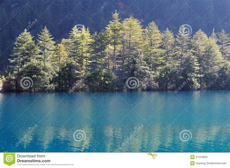 Pine Trees And Lake In Jiuzhaigou Stock Photo Image Of Ecology