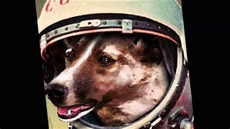 La Histórica Misión Espacial De La Cosmonauta Canina Laika Gente Yold