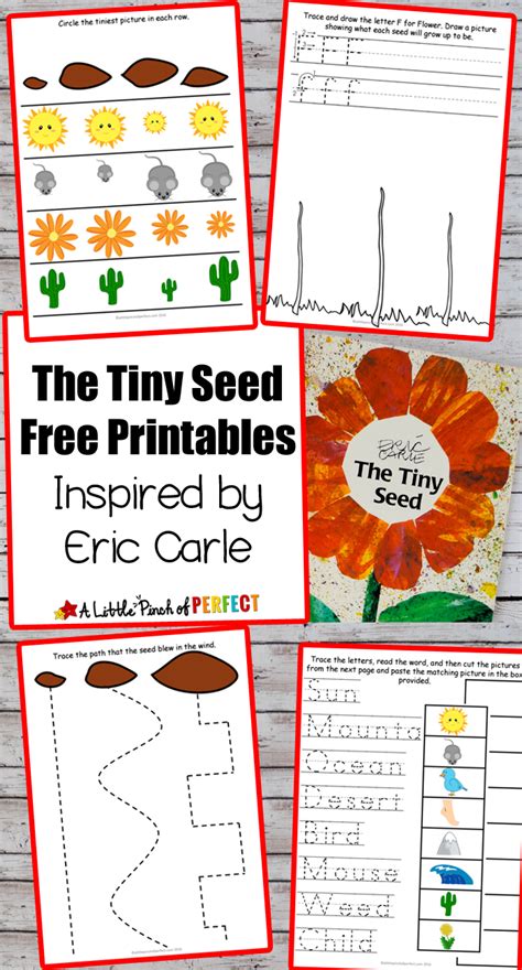 These are all easy activities for preschoolers at home that you can do at with your toddlers and preschoolers. Flower Potato Stamping Craft and The Tiny Seed Free ...