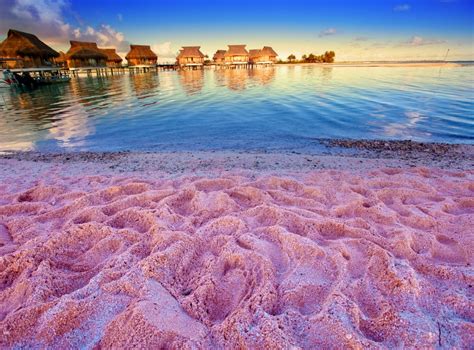 Pink Sand Beach Bahamas