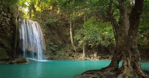 Tropical Paradise Background Of Beautiful Waterfall
