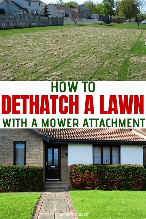 It moderates the temperature of the soil and helps it retain moisture. How To Dethatch A Lawn With A Mower Attachment - AGreenHand