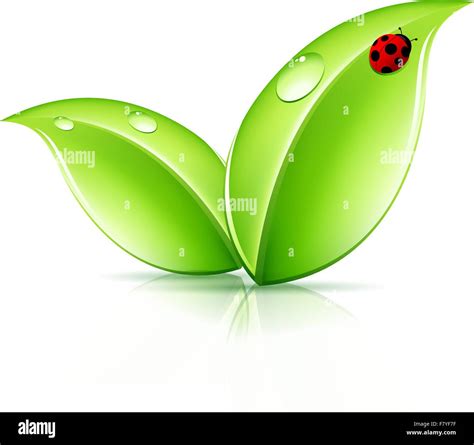 Green Leaves Symbol Stock Vector Image And Art Alamy
