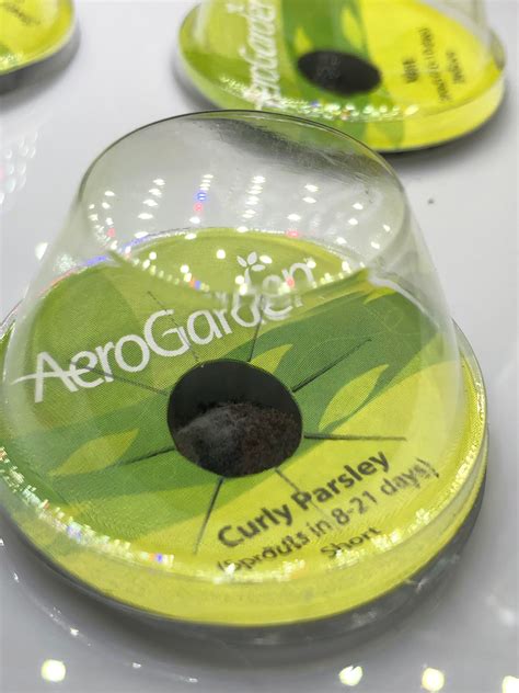 I planted dill, curly parsley, arugula, thyme, chives and mint and all of the plants are flourishing. Is this mold? : aerogarden