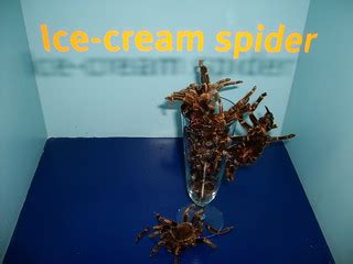 Ice Cream Spider Canterbury Museum Nz Jane A Keats Flickr