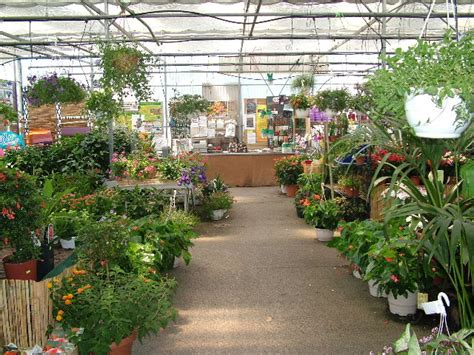Plantes Intérieures Jardinerie Riera