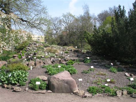 Startseite institut für geobotanik und botanischer garten. Botanischer Garten - Touristinformation Halle (Saale)