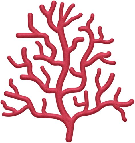 Download Coral Clipart Png Cartoon Sea Coral Png Png Image With No