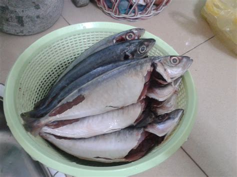 People interested in ikan kembung in english also searched for. ~ Aku dan kamu ~: Persediaan utk mem'baking'. Tak lupa ...
