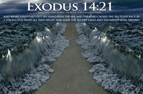 Exodus 1421 Kjv Exodus Bible Verses Bible