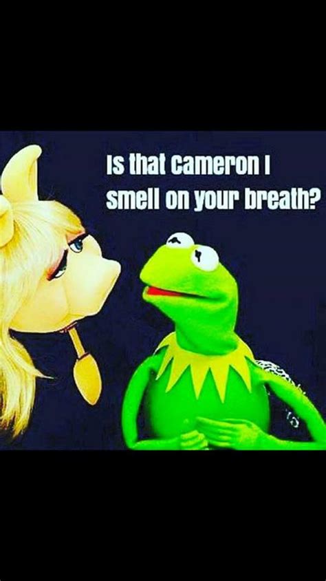 Miss Piggy None Of My Business Meme