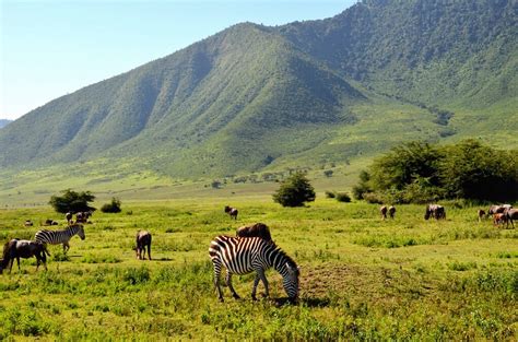 My Journey To Ngorongoro Crater Tanzanias Garden Of Eden