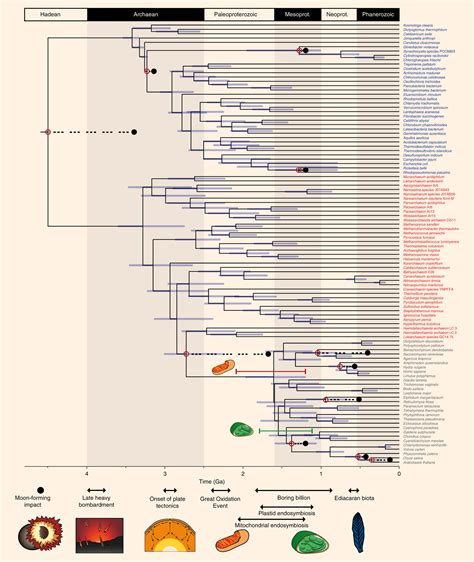 Common Ancestor Of All Cellular Life On Earth Emerged Very Early In