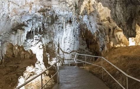 Blue Mountains And Jenolan Caves Day Tour