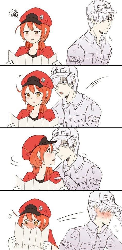 Between bacteria incursions and meeting a certain white blood cell, she's got a lot to learn. Cells at work | white blood cell x red blood cell | | Anime