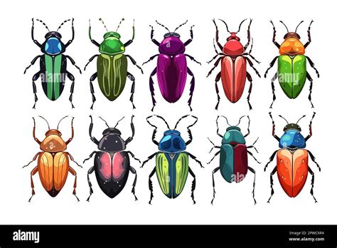 Colorful Beetles Isolated On Background Cartoon Vector Illustration