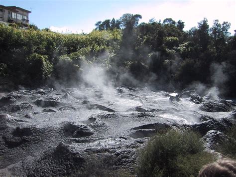 Here is a boiling mud pit near lake taupo in new zealand. Rotorua - stinky stinky mud! :) | Rotorua, New zealand ...