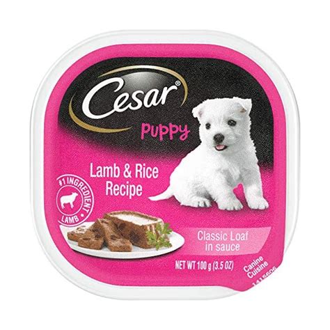 Cesar classic loaf in sauce beef recipe, filet mignon, grilled chicken, & porterhouse steak flavors; Cesar Wet Dog Food Review in 2020 - The Best Food Pets ...