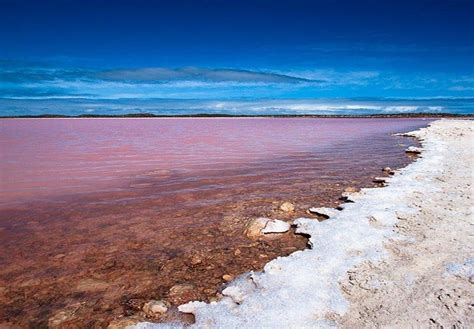 Alucinante Lago Rosa Lake Hillier Australia Conciencia Eco