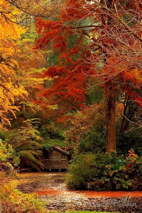 Aesthetically Pleasing Autumn Scenery Beautiful Nature Autumn Scenes