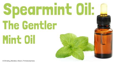 Learn more about the many uses and benefits of doterra's spearmint essential oil. Herbal Oil: Spearmint Oil Benefits and Uses