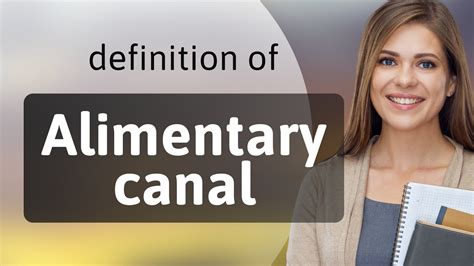 Alimentary Canal What Is ALIMENTARY CANAL Definition YouTube
