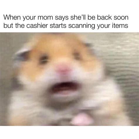 When Your Mom Says She Ll Be Back Soon But The Cashier Starts Scanning