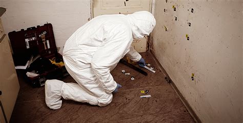 Cleaning Specialists Inc Crime Scene Cleanup Biohazard Cleaning