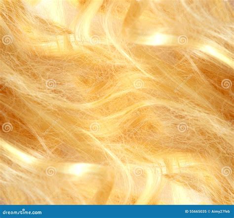 Blonde Hair Blond Hair Texture Stock Image Image Of Flaxen Fair