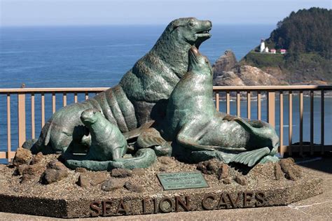 Explore The Sea Lion Caves Near Florence Oregon Oregon Coast