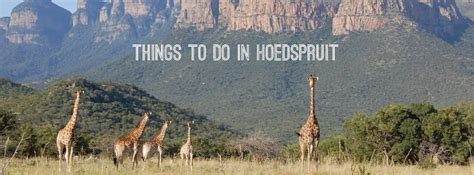 the best guide for things to do in hoedspruit moya safari lodge and villa