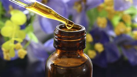 13 Wonderful Household Uses For Essential Oils