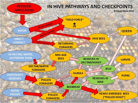 Pesticide Exposure Pathways Scientific Beekeeping