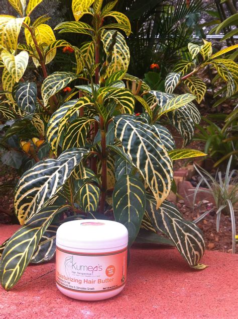 When your face is overproducing natural oils, it can seem counterintuitive to reach for a moisturizer. Kumea's Moisturizing Hair Butter is an excellent oil-based ...