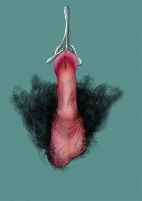 Penis Pussy Erotic Art