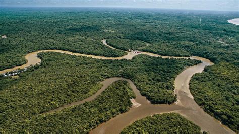 Río Amazonas Descubre El Río Más Largo Del Mundo No Es El Nilo Está