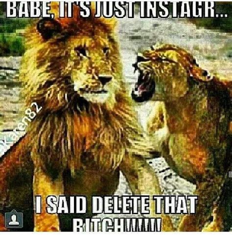 Lmao Like Now Lion Quotes Funny Images Funny