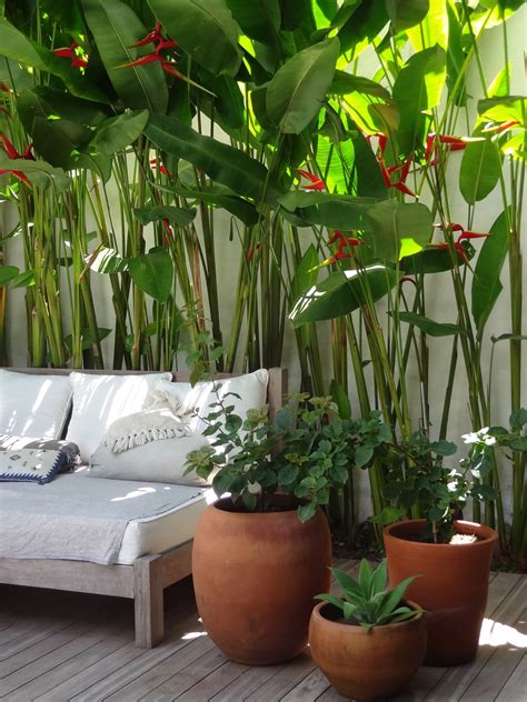 30 Fresh and Calming Tropical Garden Ideas | Tropical pool landscaping, Tropical patio, Tropical ...