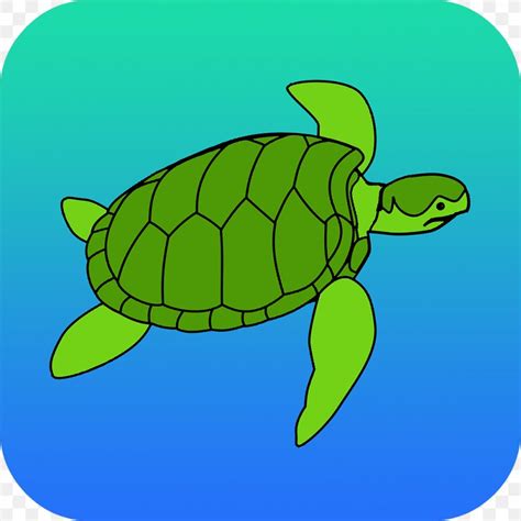Loggerhead Sea Turtle Tortoise Clip Art Png 1024x1024px Loggerhead