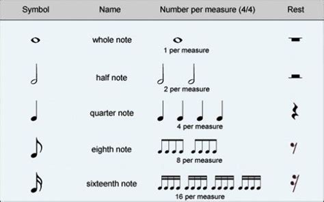 A Basic Guide To Musical Notation Basic Music Theory Music Theory