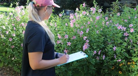 Georgia Citizens Help Collect Pollinator Data Across State Morning Ag Clips