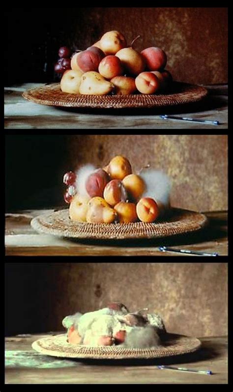 17 Best Images About Still Life Photography On Pinterest