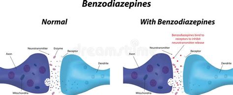 The Action Of Benzodiazepines Stock Vector Illustration Of Dendrite