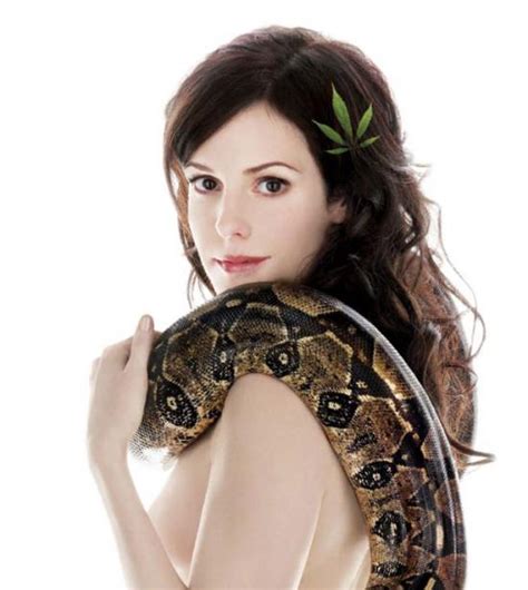 Mary Louise Parker Weed Gallery Popular Celebrity And Models