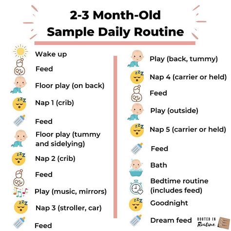 The Two Month Old Sample Daily Routine Is Shown In This Graphic Above It S Description