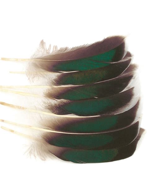 Mallard Mcginty Quill Feathers