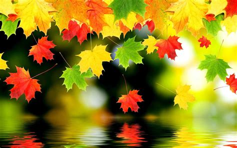 Fall Desktop Wallpapers Backgrounds 64 Images