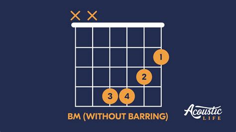 Bm Chord For Beginners Exercises And Easier Versions Acoustic Life